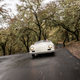 Image for article titled How Driving An Incredibly Rare And Valuable Porsche 356 America Roadster Made Me Realize My Bald Spot Is Fucking Weird Looking